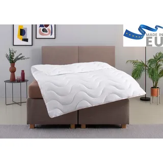 my home Microfaserbettdecke »Mailo Bettdecke 135x200 cm, 155x220 cm« leicht Füllung Polyester 1 Stk. tlg. Sommer, Winter, Decke, kuschelweicher Microfaser-Feinbatist Bezug, weiß