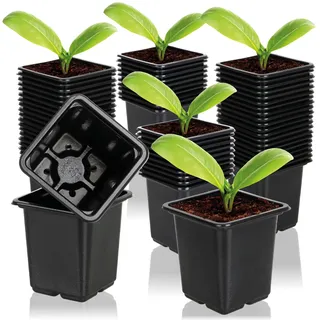 com-four® 60x Anzuchttöpfe für Pflanzen 7,5 cm, Pflanztöpfe für die Anzucht | Blumentopf für die Pflanzenzucht - Vierecktopf mit Löcher an der Unterseite