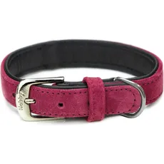 Nobby Halsband Velours (XS, Hund, Hundesport), Halsband + Leine