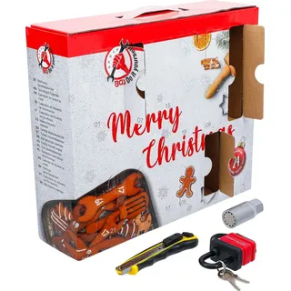 BGS Diy 95000 Werkzeug-Adventskalender 63-tlg.