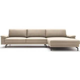 Creation BY ROLF BENZ Ecksofa »CR.450 elegantes Designsofa mit hohem Sitzkomfort«, beige