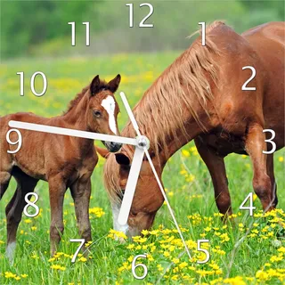 Wallario Design Wanduhr Pferde auf der Koppel aus Echtglas, Größe 20 x 20 cm - Grün