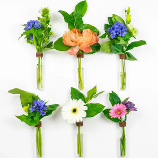 TWILG - Reagenzgläser für Blumen mit cognackfarbenem Leder und Wandmagnet - 6er Set - Reagenzgläser mit Ständer, Reagenzglas vase Wand, Magnetische vase