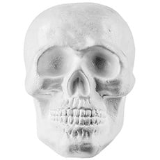 Ideen mit Herz Styropor-Totenkopf, 20cm x 19cm | Deko-Totenschädel, Styropor-Rohling für verschiede DIY Ideen | Halloween-Deko, Gothic Skull
