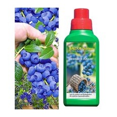 Heidelbeere 'Reka® Blue' & Dünger