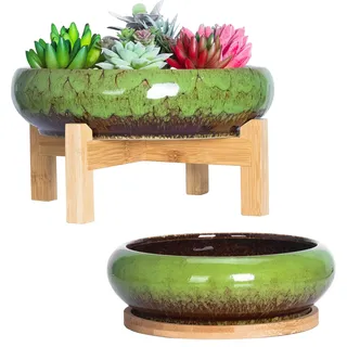 Artketty Sukkulenten-Blumentopf 18,5/25 cm Grün