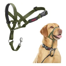 HALTI Kopfgeschirr - Verhindert, dass Ihr Hund an der Leine zieht, Einfache Anpassung, Leicht, mit gepolstertem Nasenriemen, Anti-Zug-Halsband für mittelgroße Hunde (Größe 3, Waldgrün)