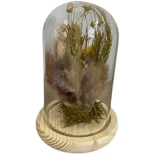 HEITMANN DECO Trockenblumen in Glasglocke, Natur, 11,5x11,5x17 cm