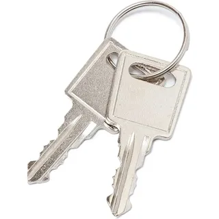 Showdown Displays Showdown Schaukasten Economy 2xA4 si