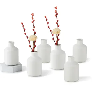 Sziqiqi Kleine Weiß Bud Vasen Set: Mini Vase für Kunstblumen 6 Pcs Nordic Metal Blumenvasen für Wohnzimmer Minimalist Little Flower Vasen für Tabelle Hochzeit