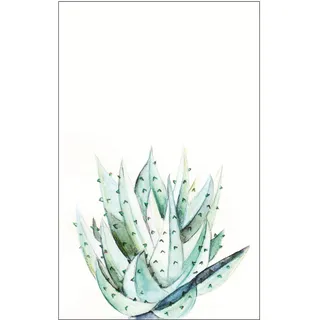 KOMAR Wandbild Aloe Watercolor 50 x 70 cm