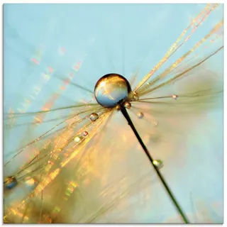 Artland Glasbild »Pusteblume Tautropfen II« Blumen 1 Stk. tlg. in verschiedenen Größen, blau