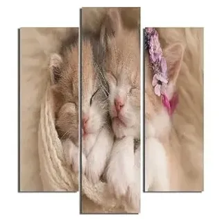 Homemania Feline-Bild, 3-teilig, Tiere, Wohnzimmer, Kinderzimmer, mehrfarbig, 57 x 0,3 x 60 cm, HM203MDF251, MDF
