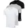 Active Core Cotton mehrfarbig L