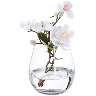 Relaxdays Blumenvase , Transparent , Glas , Rund , 16 cm , Dekoration, Vasen, Glasvasen