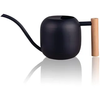 IMEEA Giesskanne Edelstahl 1 L Pulverbeschichtet Holzgriff Gießkanne für Zimmerpflanzen und Bonsai