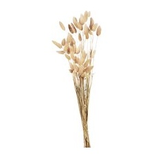 Blumenbündel Samtgras, L:60cm, natur