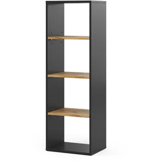 Vicco Bücherregal Tomy Anthrazit/Goldkraft Eiche 40 x 120 cm ,4 Fächer , Anthrazit, Eichefarben , Holzwerkstoff , Rechteckig , 40x120x30 cm , Wohnzimmer, Regale, Bücherregale
