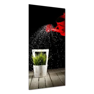 Wallario selbstklebende Duschrückwand 80 x 190 cm mit Motiv Grüne Pflanze mit roter Gießkanne - Wandverkleidung mit Hochglanzlaminat in Glasoptik - Schwarz