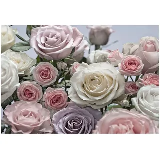 KOMAR Fototapete "Floraison 368 x 254 cm bedruckt glatt Wohnzimmer, Schlafzimmer, rosa, weiß, lila),