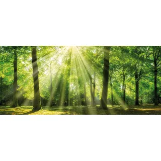 Leinwandbild BÖNNINGHOFF "Sonnenstrahl", grün (farbe bild(er): grün), B:140cm H:60cm T:2cm, MDF, Papier, Bilder, Leinwandbild