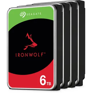 Seagate IronWolf 6 TB 3,5" 1616 Mb/s