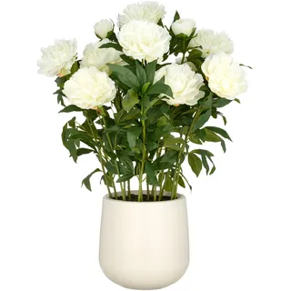 Creativ green Kunstpflanze »Peonie« im eleganten Topf, beige
