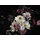 BLUMEN BLUMEN