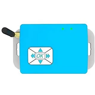 LyLmLe R-RF433C Color Sync Controller LED RGB Poolbeleuchtung