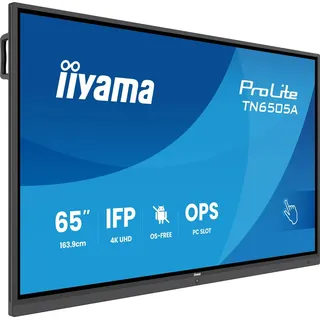 Iiyama Prolite TN6505A-B1AG 65"