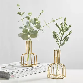 2 Stück goldene Blumenvase mit Metallrahmen, klares Glas, Reagenzglas, dekorativ, kleine Knospenvasen, Geschenke für Hochzeitsdekoration, Tischblumendekoration, Innendekoration, Wohnzimmerdekoration