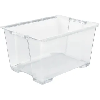 Rotho Unterbettbox 78,7 x 58,6 x 43,8 cm 1-tlg. Transparent