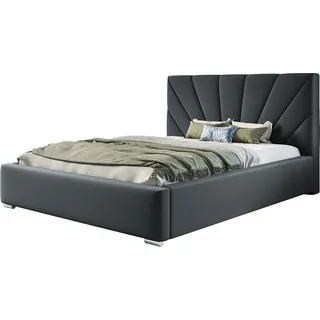 Polsterbett Denver mit Kopfteil, 200x200 cm, Doppelbett mit Bettkasten und Lattenrost aus Metal, Velourstoff, Farbe: Dunkelgrau - Dunkelgrau