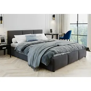 home collective Polsterbett Doppelbett 160x200 cm mit Matratze & Lattenrost aus Metall und Stauraum mit hydraulischem Bettkasten | Samt Dunkelgrau