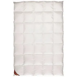 Centa-Star Golf von Alaska 135 x 200 cm Baumwolle Braun Sahara