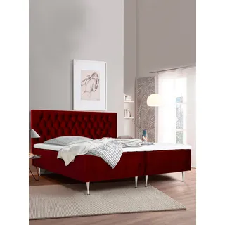 Boxspringbett HOME AFFAIRE "Exclusive", rot, B:181cm L:208cm, Samtoptik (100% Polyester), Komplettbetten, Boxspringbett, inkl. Topper, 3 Breiten, 3 Härtegrad-Ausführungen