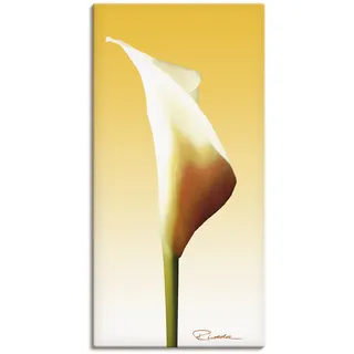 ARTland Leinwandbild »Sonnenschein Calla I«, Blumenbilder, (1 St.), auf Keilrahmen gespannt, gelb