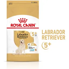 Bild von Labrador Retriever 3 kg