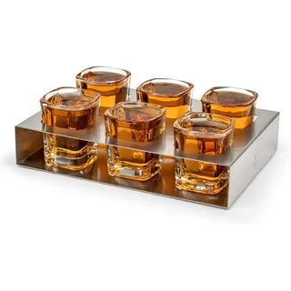 Shotgläser Set 6-teilig - Schnapsgläser mit passender Halterung aus Edelstahl - Tablett mit 6 kleinen Gläsern für Liköre, Silver