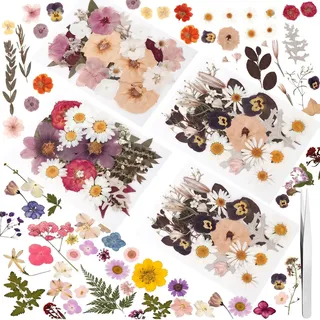 Getrocknete Blumen 100er gepresst + Pinzette für DIY & Basteln (Weiß) | Geeignet für Epoxidharz, Scrapbooking, Kerzen & Hochzeitsdeko. Für Erwachsene & Kinder.