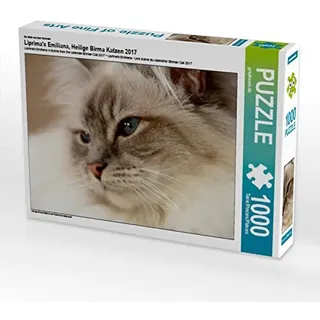 CALVENDO Puzzle Liprima's Emiliana, EIN Motiv aus dem Kalender Heilige Birma Katzen 2017 1000 Teile Puzzle quer | Lege-Größe cm Foto-Puzzle für glückliche Stunden