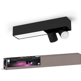 Philips Centris 2er Spot 11,0 W rechteckig schwarz