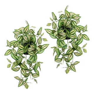 Flair Flower Künstlicher Tradescantiahänger mit Topf, 2er Set Kunstpflanze Tradescantia hängend Deko Hängepflanze Rankende Girlande Pflanzenampel Ampel Grünpflanze Zimmerpflanze Kletterpflanze Efeuranke Efeu