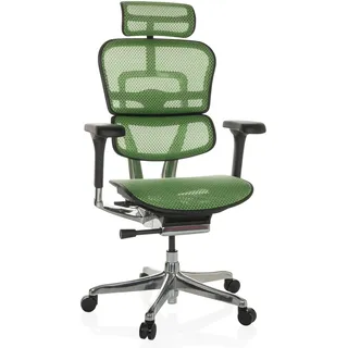 HJH Office ERGOHUMAN GEN2 Netz Grün