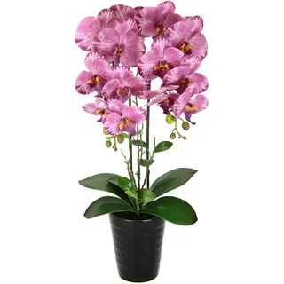Flair Flower Künstliche Orchidee 58cm im Topf Kunstorchidee Blume Kunstblumen Kunst Orchidee Kunstorchidee Phalaenopsis Kunstpflanze wie echt Hochzeit Deko Seidenblume Real Touch Blüte Tischgesteck Seidenblume
