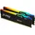 FURY Beast RGB EXPO