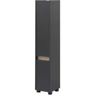 Schildmeyer Hochschrank 146322 Cosmo, 30,2 x 164,5 x 33 cm (BxHxT), anthrazit