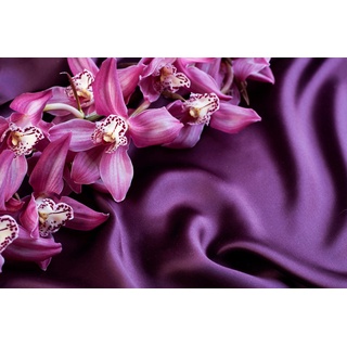 Papermoon Fototapete »ORCHIDEEN-SEIDE ART DESIGN ABSTRAKT MUSTER DECOR KUNST«, bunt