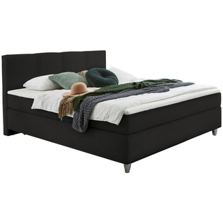 Hom`in BOXSPRINGBETT Schwarz - 120x200 cm