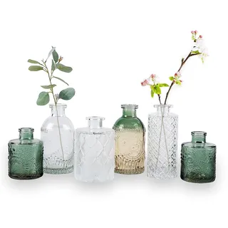 WILDMOS Knospenvasen-Set, kleine Blumenvasen für dekorative, Farbverlaufsglas und geprägte Mini-Flaschen im Vintage-Stil, für Heimdekoration, Mittelstück 8,4 cm - 13,2 cm H (transparent + grün), 6